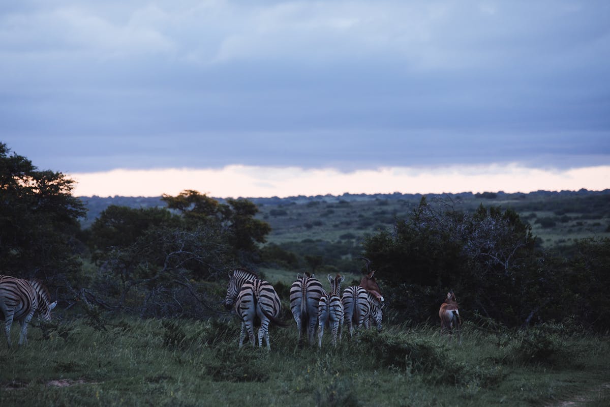 Kenya